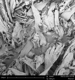 ФОТО.1. Электронно-микроскопическое изображение древесной муки, полученной на комбинированной мельнице-нагревателе «С.А.М.П.О. 2012» с 20 пульсационными камерами статора (увеличение 1000х, размерная шкала- 130 мкм)