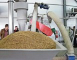Коммерческий помол пшеничной соломы