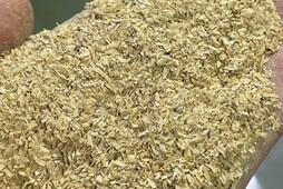 Дробления рисовая шелуха
